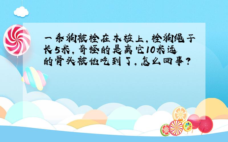 一条狗被栓在木桩上,栓狗绳子长5米,奇怪的是离它10米远的骨头被他吃到了,怎么回事?