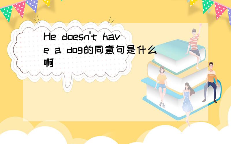 He doesn't have a dog的同意句是什么啊