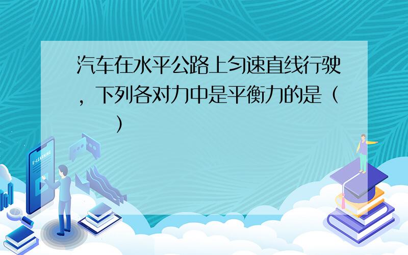 汽车在水平公路上匀速直线行驶，下列各对力中是平衡力的是（　　）