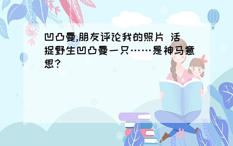 凹凸曼,朋友评论我的照片 活捉野生凹凸曼一只……是神马意思?