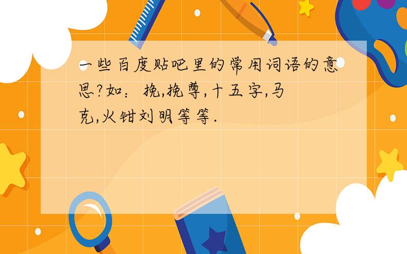 一些百度贴吧里的常用词语的意思?如：挽,挽尊,十五字,马克,火钳刘明等等.