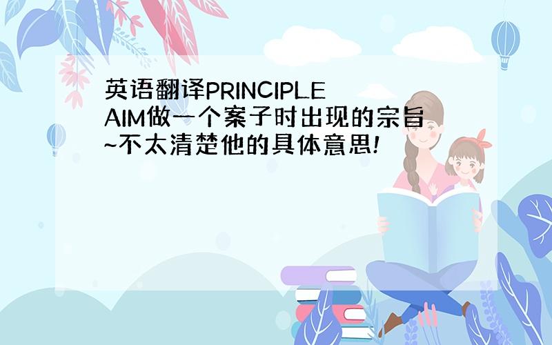 英语翻译PRINCIPLE AIM做一个案子时出现的宗旨~不太清楚他的具体意思!