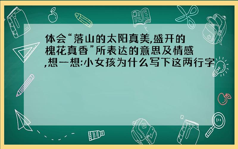 体会“落山的太阳真美,盛开的槐花真香”所表达的意思及情感,想一想:小女孩为什么写下这两行字