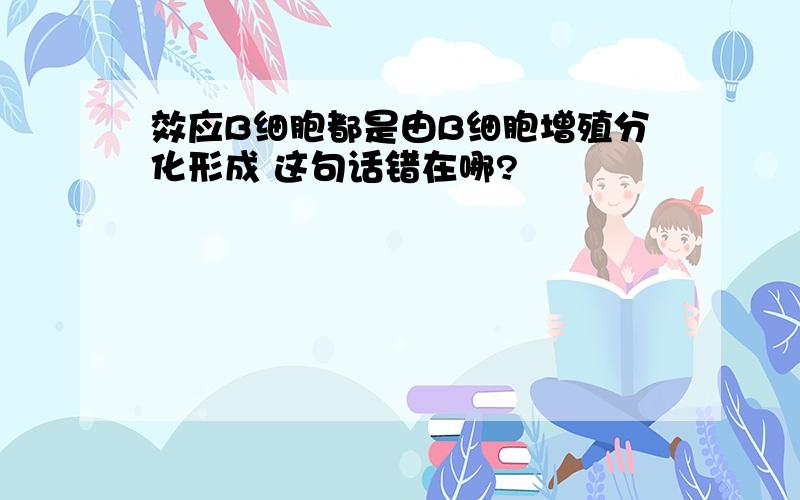 效应B细胞都是由B细胞增殖分化形成 这句话错在哪?