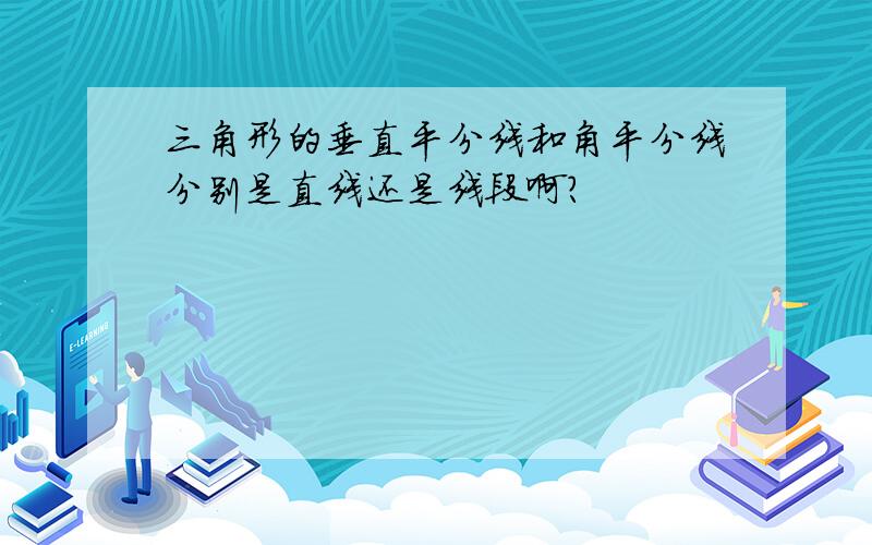 三角形的垂直平分线和角平分线分别是直线还是线段啊?