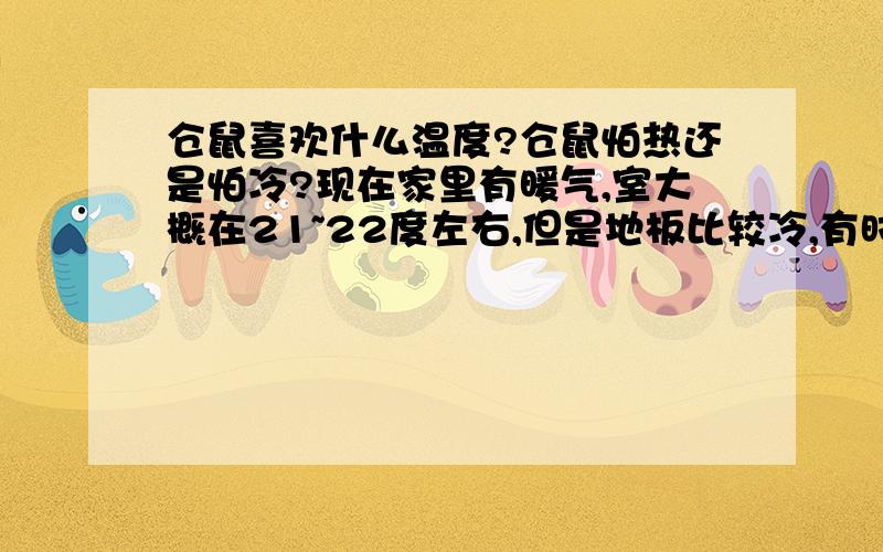 仓鼠喜欢什么温度?仓鼠怕热还是怕冷?现在家里有暖气,室大概在21~22度左右,但是地板比较冷,有时放鼠鼠出来玩儿,总担心