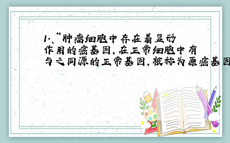 1.、“肿瘤细胞中存在着显形作用的癌基因,在正常细胞中有与之同源的正常基因,被称为原癌基因 ” 2.“原癌