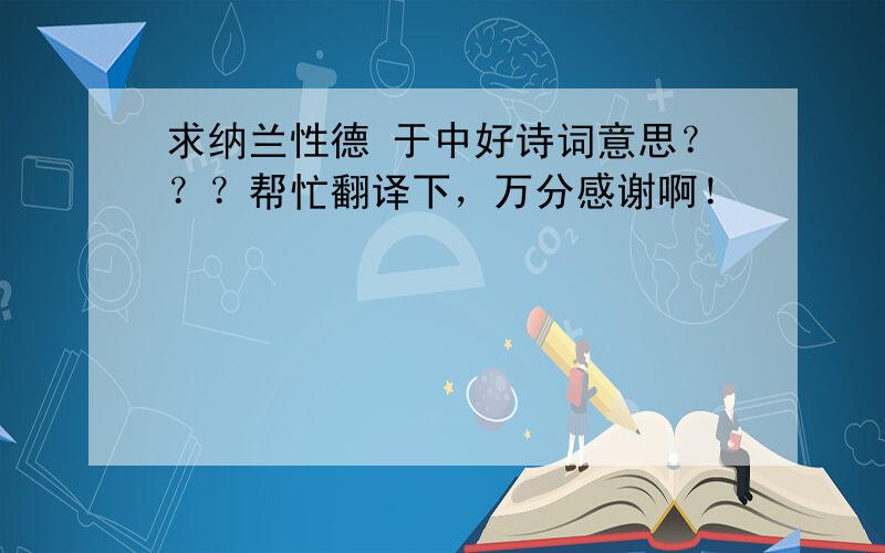 求纳兰性德 于中好诗词意思？？？帮忙翻译下，万分感谢啊！