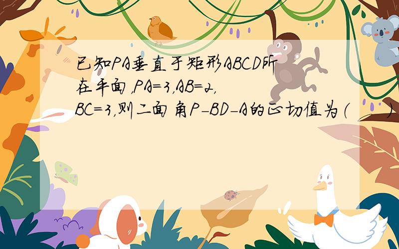 已知PA垂直于矩形ABCD所在平面，PA=3，AB=2，BC=3，则二面角P-BD-A的正切值为（　　）