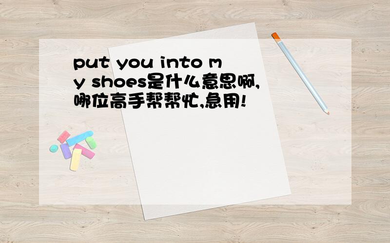 put you into my shoes是什么意思啊,哪位高手帮帮忙,急用!