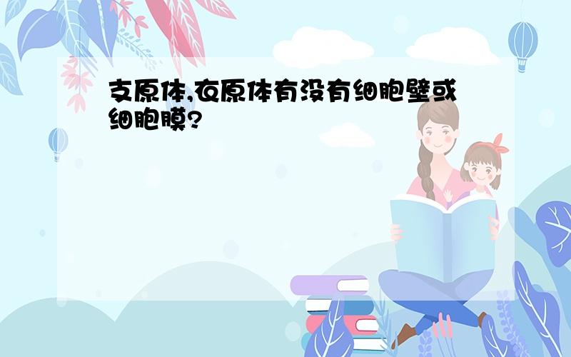 支原体,衣原体有没有细胞壁或细胞膜?