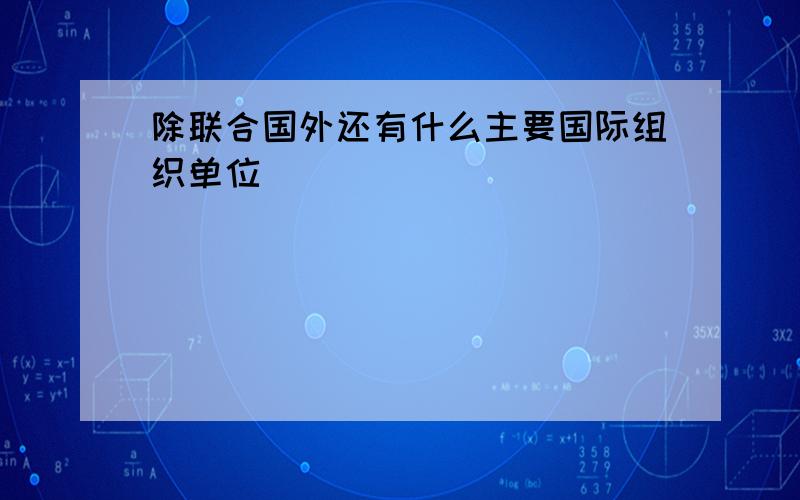 除联合国外还有什么主要国际组织单位