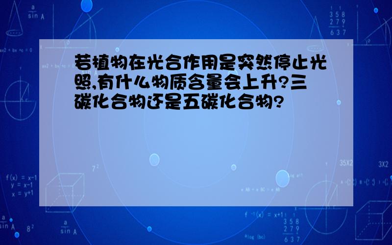 若植物在光合作用是突然停止光照,有什么物质含量会上升?三碳化合物还是五碳化合物?