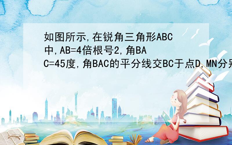 如图所示,在锐角三角形ABC中,AB=4倍根号2,角BAC=45度,角BAC的平分线交BC于点D,MN分别是AD和AB上