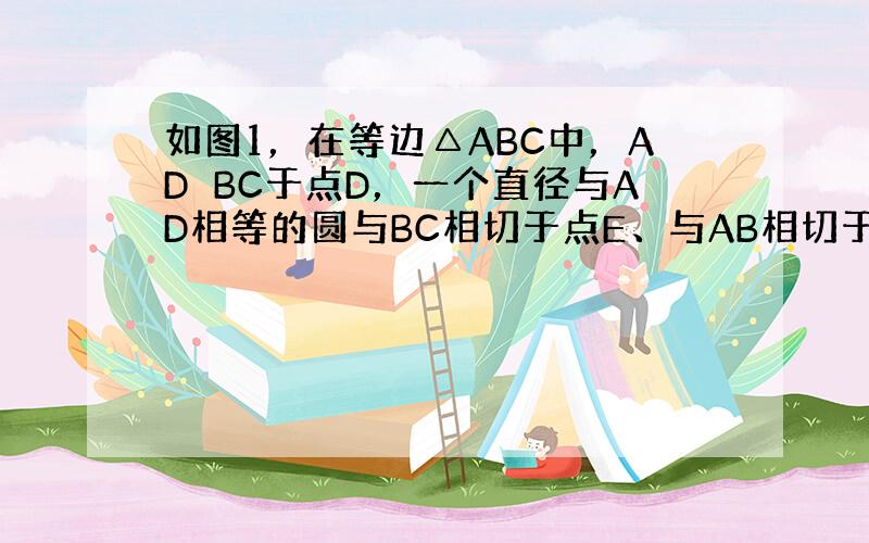 如图1，在等边△ABC中，AD⊥BC于点D，一个直径与AD相等的圆与BC相切于点E、与AB相切于点F，连接EF．