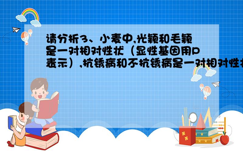 请分析3、小麦中,光颖和毛颖是一对相对性状（显性基因用P表示）,抗锈病和不抗锈病是一对相对性状（显性基因用R表示）,两对