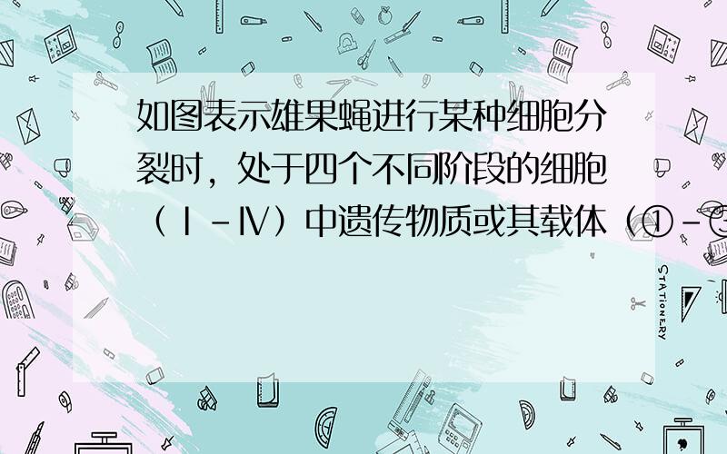 如图表示雄果蝇进行某种细胞分裂时，处于四个不同阶段的细胞（Ⅰ-Ⅳ）中遗传物质或其载体（①-③）的数量.下列表述与图中信息