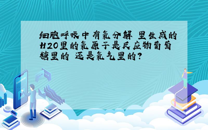 细胞呼吸中有氧分解 里生成的H2O里的氧原子是反应物葡萄糖里的 还是氧气里的?