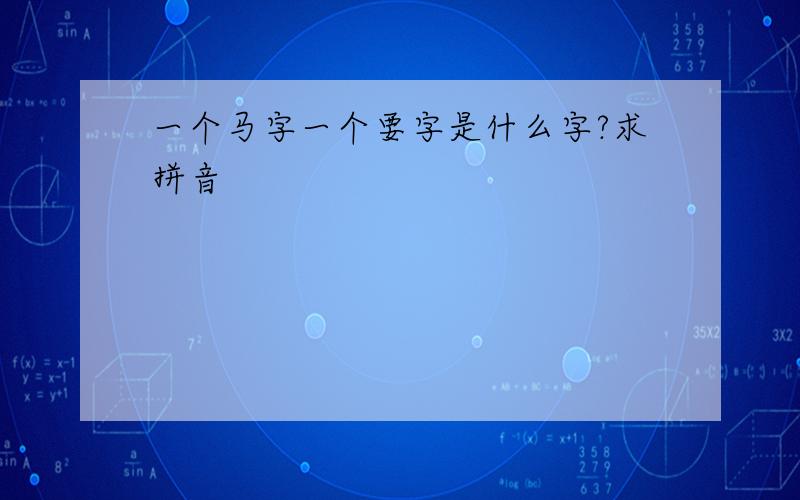 一个马字一个要字是什么字?求拼音