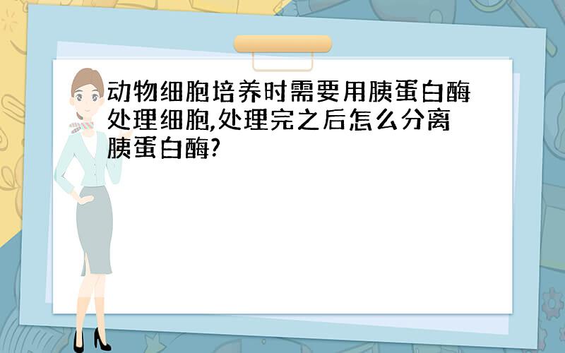 动物细胞培养时需要用胰蛋白酶处理细胞,处理完之后怎么分离胰蛋白酶?