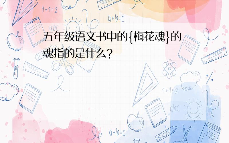 五年级语文书中的{梅花魂}的魂指的是什么?