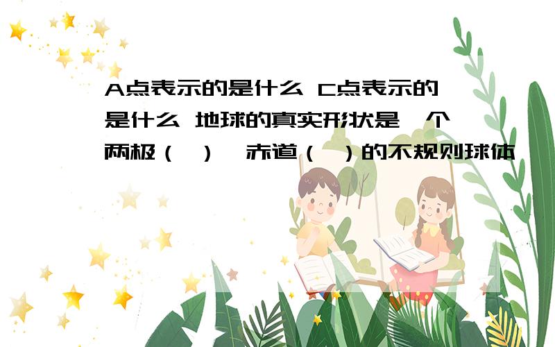 A点表示的是什么 C点表示的是什么 地球的真实形状是一个两极（ ）、赤道（ ）的不规则球体