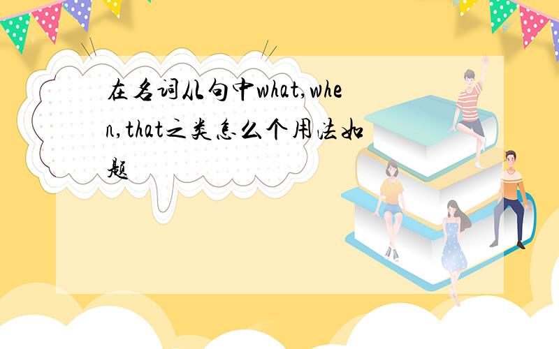 在名词从句中what,when,that之类怎么个用法如题