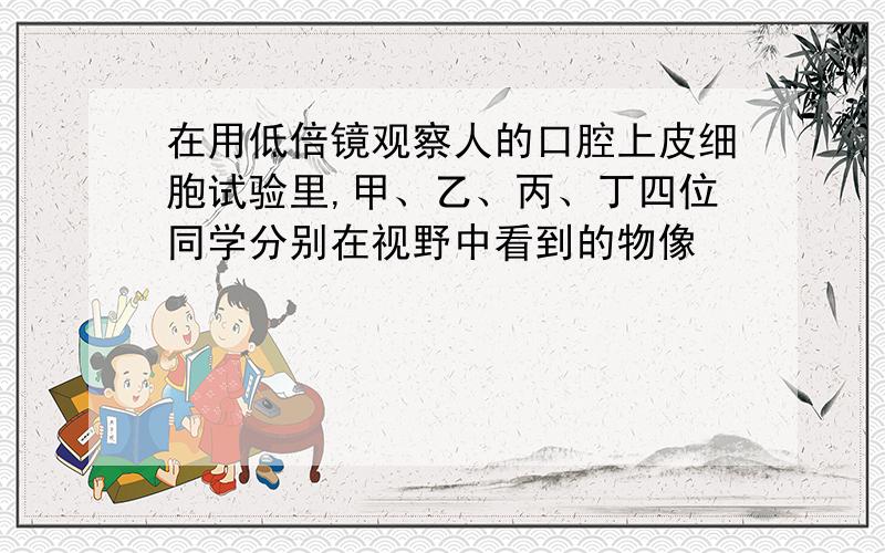 在用低倍镜观察人的口腔上皮细胞试验里,甲、乙、丙、丁四位同学分别在视野中看到的物像