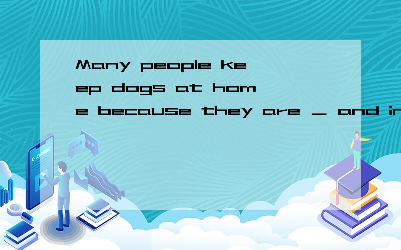 Many people keep dogs at home because they are ＿ and intelli