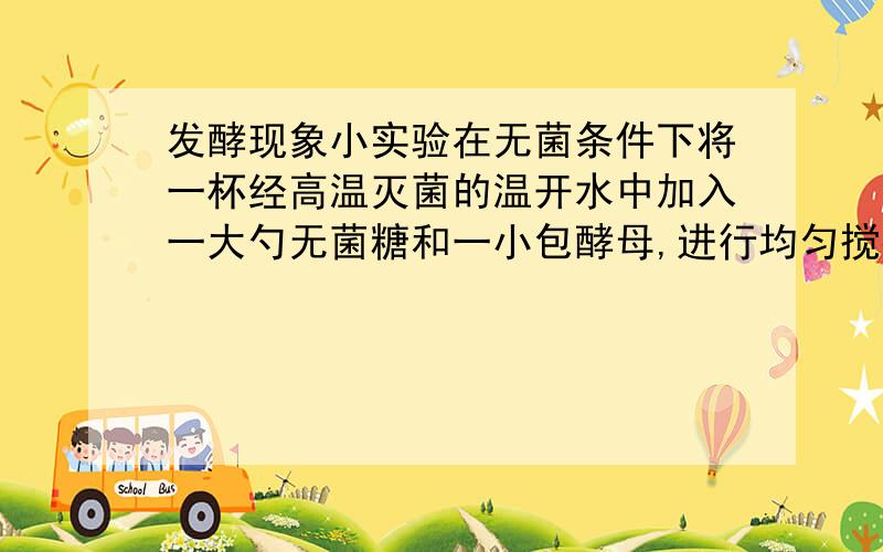 发酵现象小实验在无菌条件下将一杯经高温灭菌的温开水中加入一大勺无菌糖和一小包酵母,进行均匀搅拌后放入透明玻璃瓶中,再往瓶