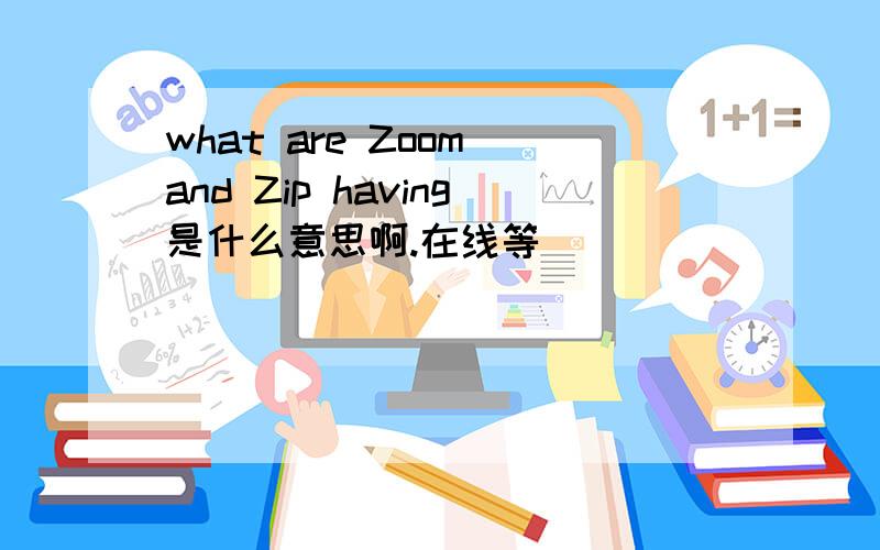 what are Zoom and Zip having是什么意思啊.在线等