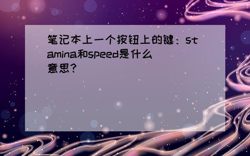 笔记本上一个按钮上的键：stamina和speed是什么意思?