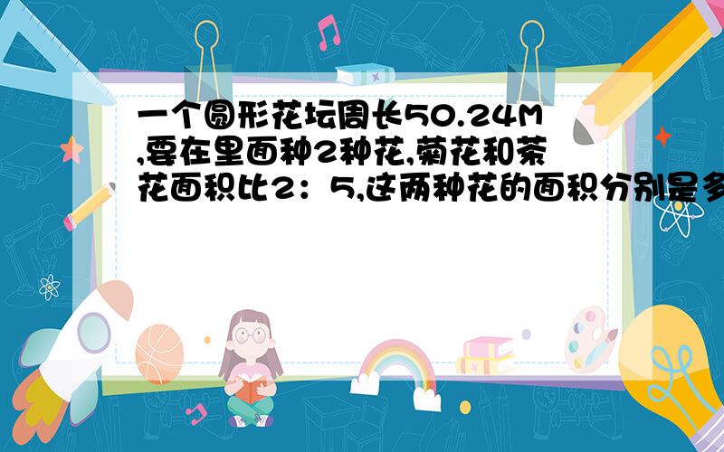 一个圆形花坛周长50.24M,要在里面种2种花,菊花和茶花面积比2：5,这两种花的面积分别是多少