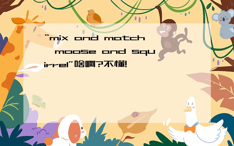 “mix and match,moose and squirrel”啥啊?不懂!