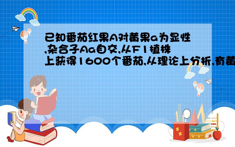 已知番茄红果A对黄果a为显性,杂合子Aa自交,从F1植株上获得1600个番茄,从理论上分析,有黄番茄几个.Aa自交,F1