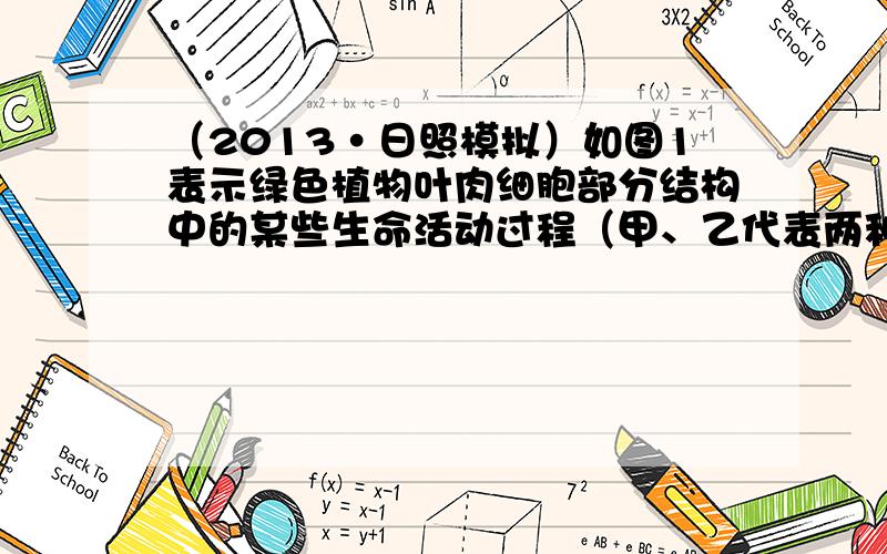 （2013•日照模拟）如图1表示绿色植物叶肉细胞部分结构中的某些生命活动过程（甲、乙代表两种细胞器，①～⑦代表不同物质）