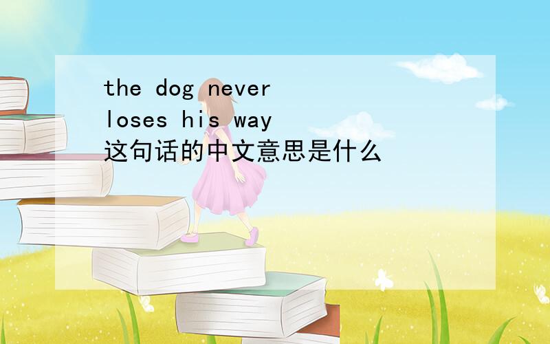 the dog never loses his way 这句话的中文意思是什么