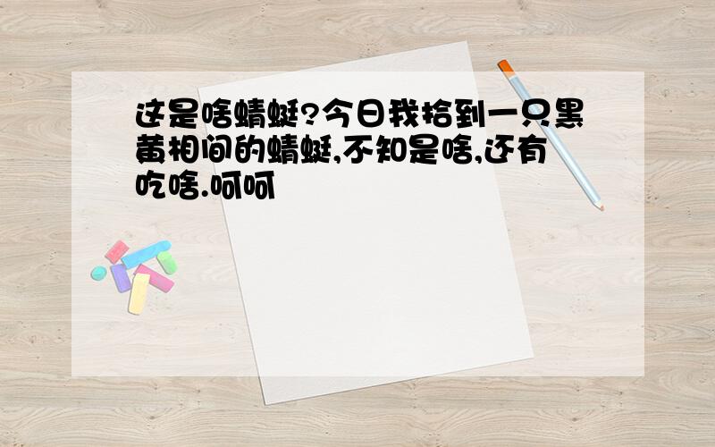 这是啥蜻蜓?今日我拾到一只黑黄相间的蜻蜓,不知是啥,还有吃啥.呵呵