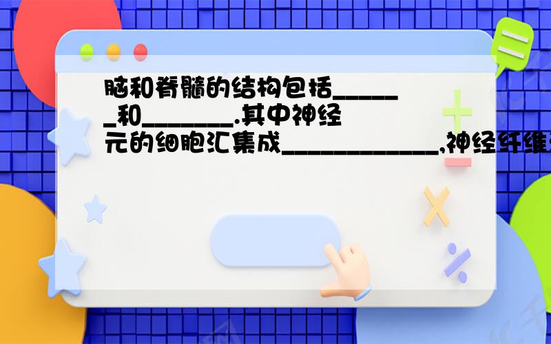 脑和脊髓的结构包括______和_______.其中神经元的细胞汇集成____________,神经纤维汇集成_____