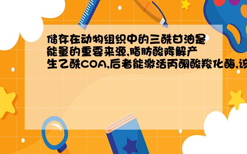 储存在动物组织中的三酰甘油是能量的重要来源,脂肪酸降解产生乙酰COA,后者能激活丙酮酸羧化酶,该酶的激活为什么会有助于从