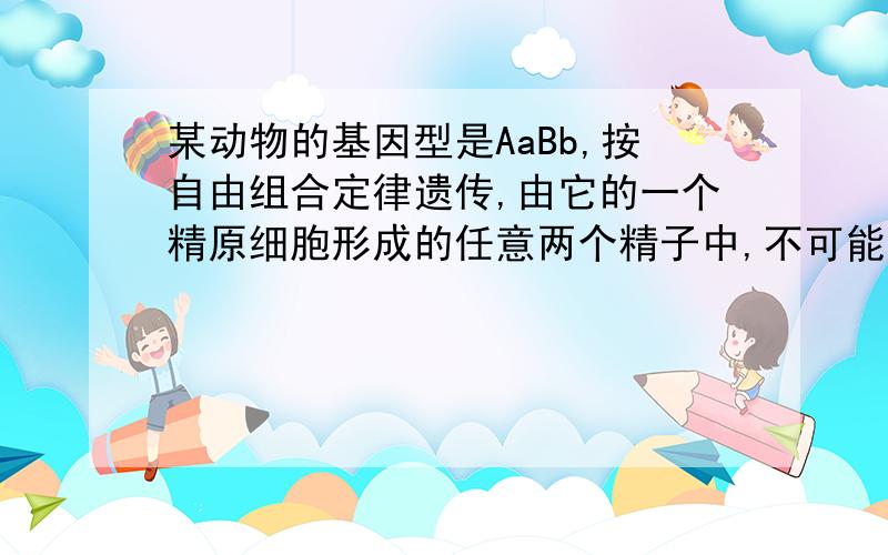 某动物的基因型是AaBb,按自由组合定律遗传,由它的一个精原细胞形成的任意两个精子中,不可能出现的是?