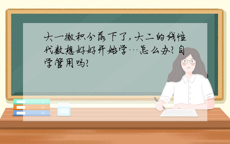 大一微积分落下了,大二的线性代数想好好开始学…怎么办?自学管用吗?