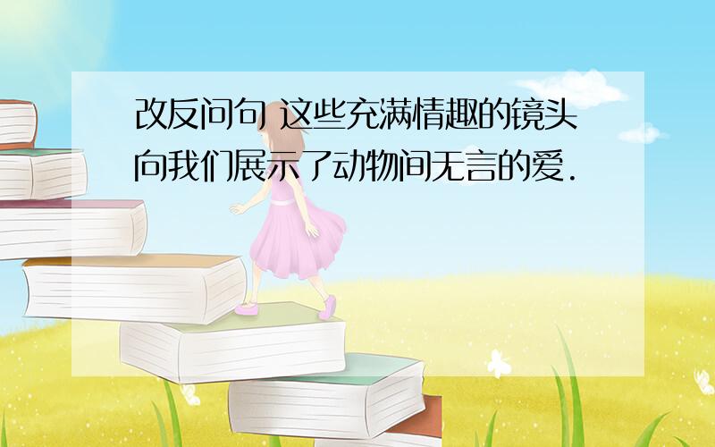 改反问句 这些充满情趣的镜头向我们展示了动物间无言的爱.