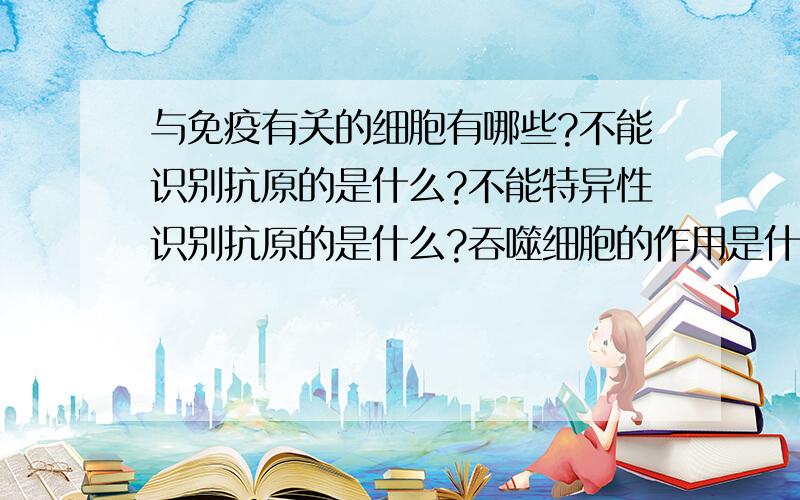 与免疫有关的细胞有哪些?不能识别抗原的是什么?不能特异性识别抗原的是什么?吞噬细胞的作用是什么?