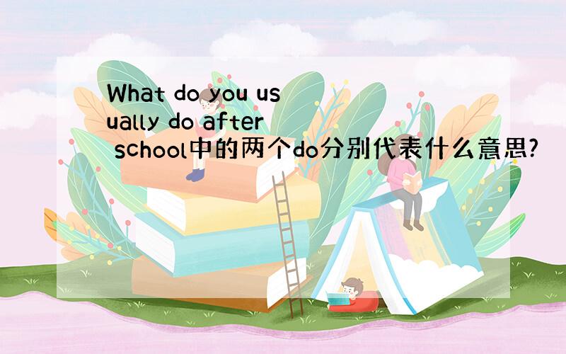 What do you usually do after school中的两个do分别代表什么意思?