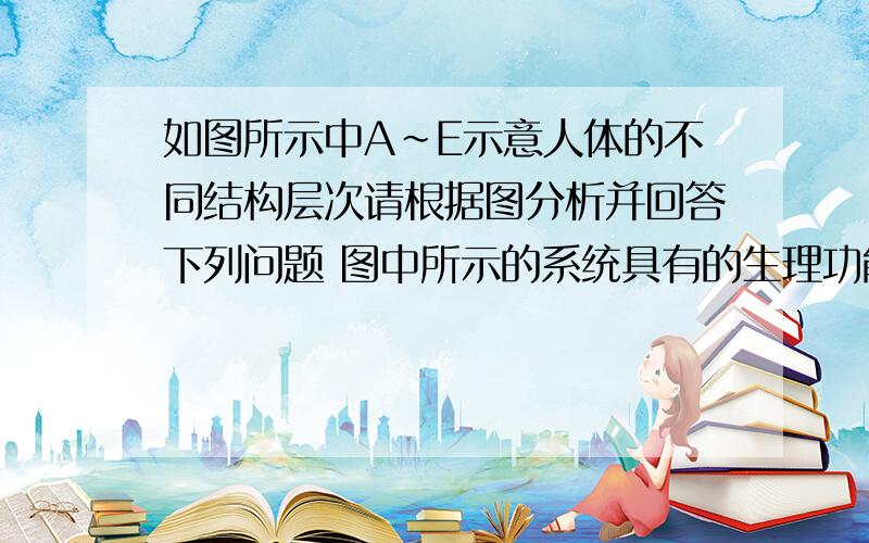 如图所示中A~E示意人体的不同结构层次请根据图分析并回答下列问题 图中所示的系统具有的生理功能是 和