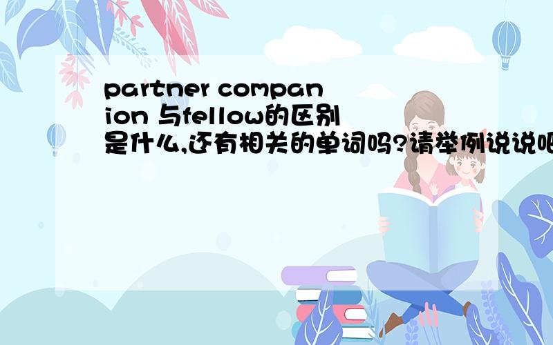 partner companion 与fellow的区别是什么,还有相关的单词吗?请举例说说吧!