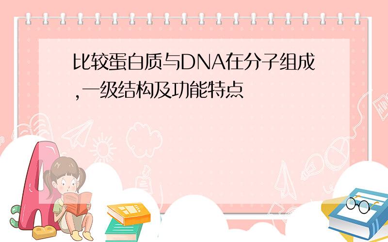 比较蛋白质与DNA在分子组成,一级结构及功能特点