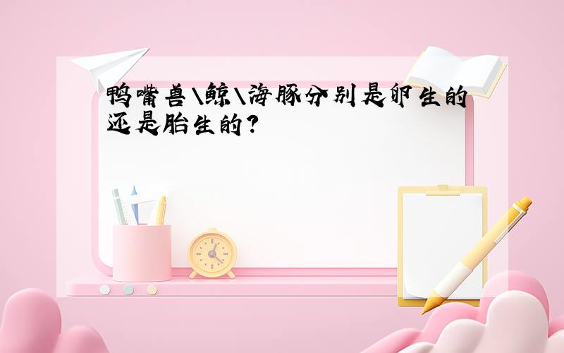 鸭嘴兽\鲸\海豚分别是卵生的还是胎生的?