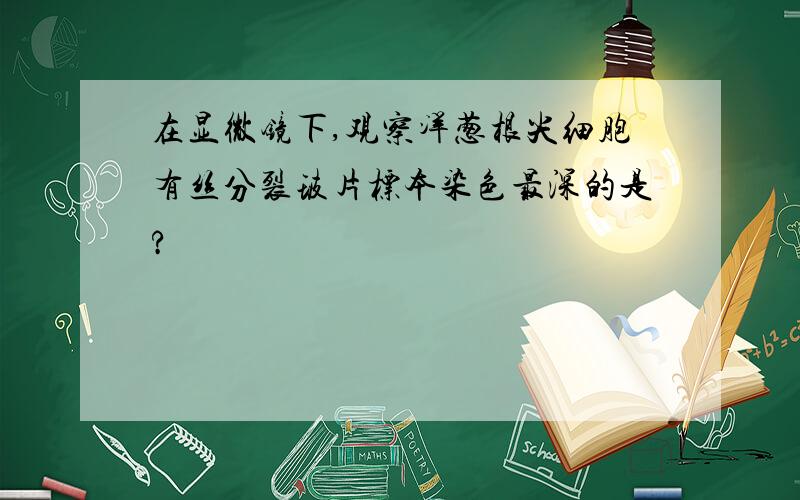 在显微镜下,观察洋葱根尖细胞有丝分裂玻片标本染色最深的是?